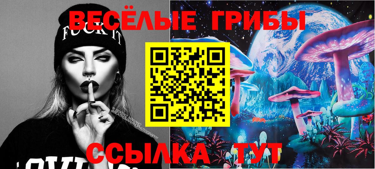 Каменск-Шахтинский  Галлюциногенные грибы Magic Shrooms  Вход с VPN 